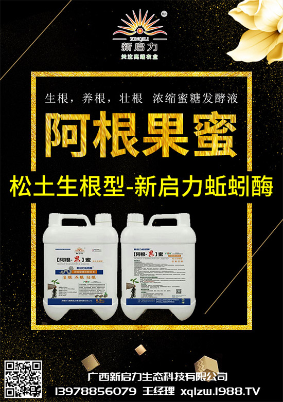 ���{��Ä������ЩΣ��������{�����İl(f��)���c���μ���