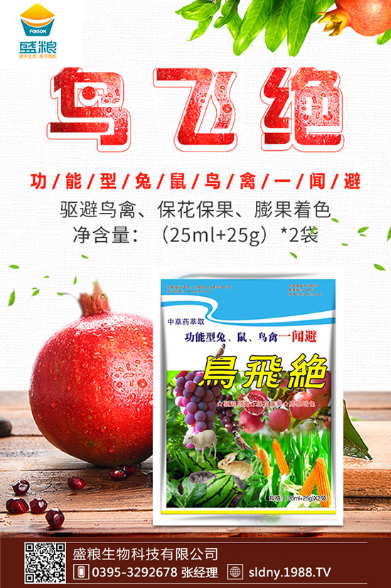 �������t������ڷۣ��������t���ڷ۷�������Щ��