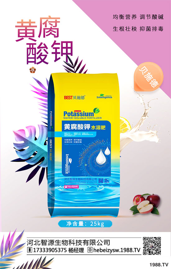 ����ը���ӷNֲ�����¹����༼�g(sh��)��