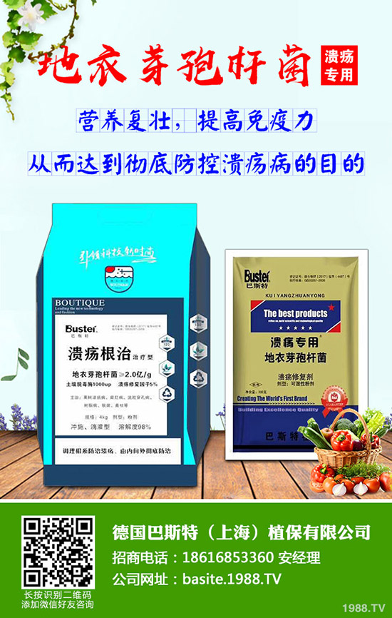 ���Շ���(n��i)�������@����r������������2019-10-9