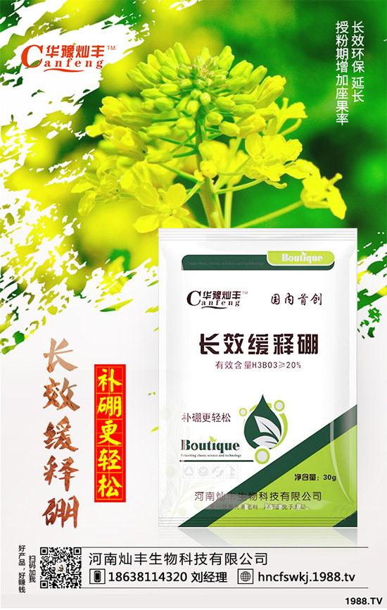 ���{(l��n)���ݲ���(l��i)�u������ԓ��η��������{(l��n)���ݲ����δ�ʩ