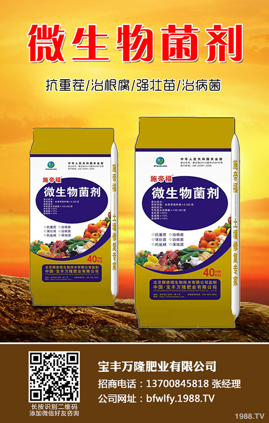 黑豆什么時(shí)候種植，黑豆收獲時(shí)間及種植方法！