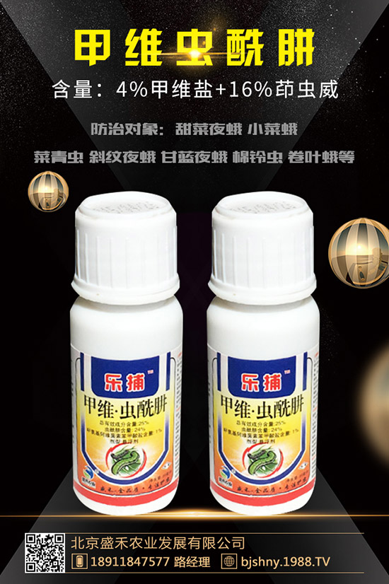     ���������ܚ�ʲô�x(ch��ng)�����ʹ���������������c(di��n)�˽�ô��