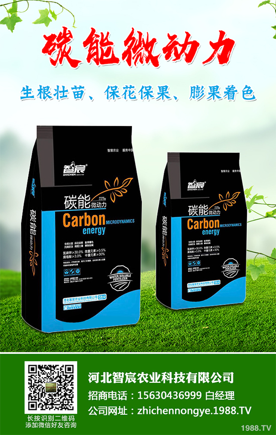 ���������߲˷Nֲԓע��ʲô����ӛ�e�M(j��n)�@�����`�^(q��)