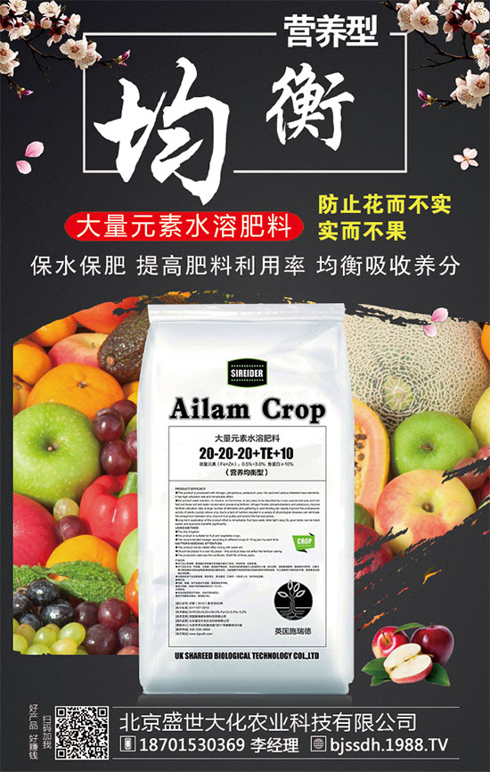 ���ӵĠI(y��ng)�B(y��ng)��Σ��t���ֵĹ�Ч�c������