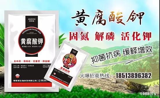 �VԴ�S����⛡�����Ʒ����1����=8���ЙC(j��)�����½�Դ�^ֱ�l(f��)������