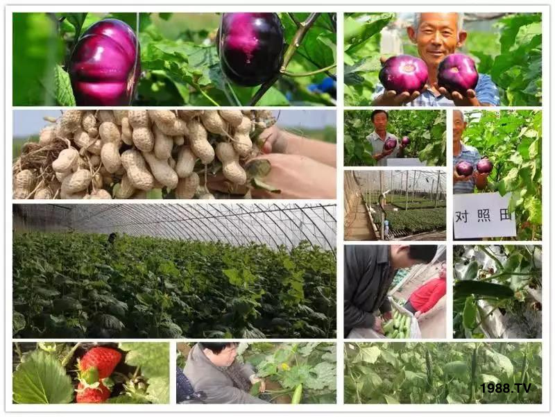 �VԴ�S����⛡�����Ʒ����1����=8���ЙC(j��)�����½�Դ�^ֱ�l(f��)������