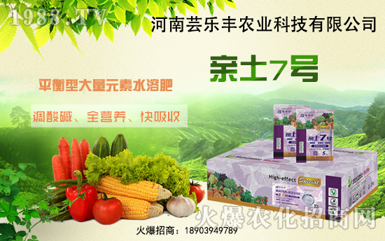 �����|���S�ɹ����v1988.TV���_���r(n��ng)�Y�N����������