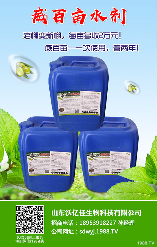 甜瓜什么時候種植？甜瓜怎么種植能高產(chǎn)？