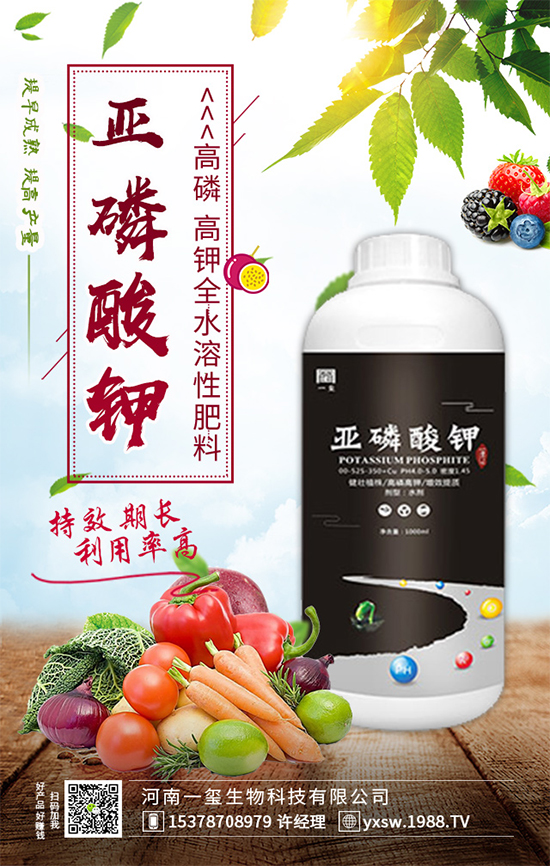 ���Ҙ��ʲô���Y(ji��)�������Ҙ䲻�Y(ji��)����(sh��)�ĵĽ�Q������