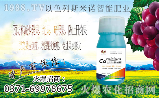 ��ɫ��˹���Z�ɹ����v�r(n��ng)���W(w��ng)���M(j��n)܊�W(w��ng)�j(lu��)�������I(l��ng)����