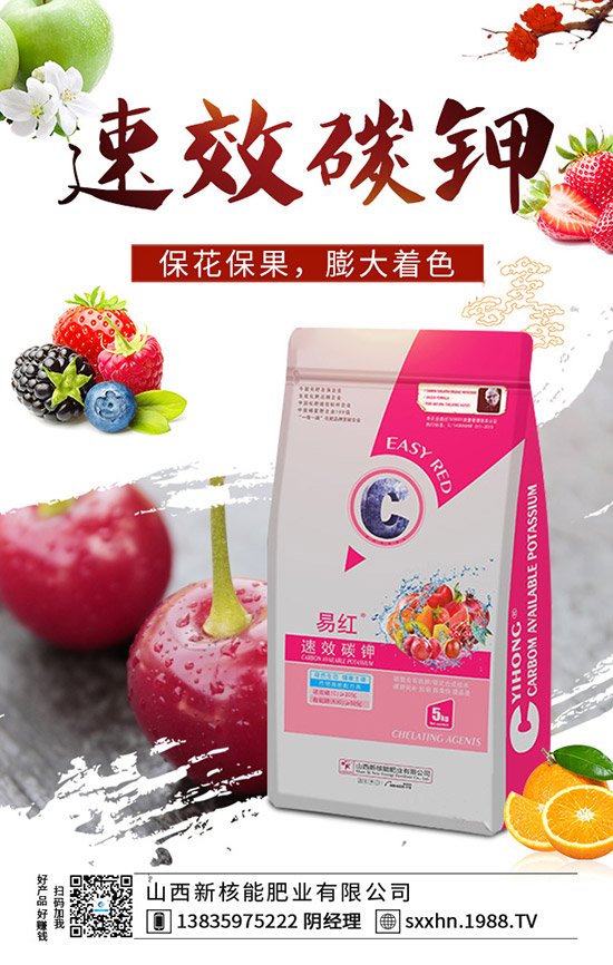     ���@�ɽ����^����2019��11��19��������@�Ј������r��1-(1938)