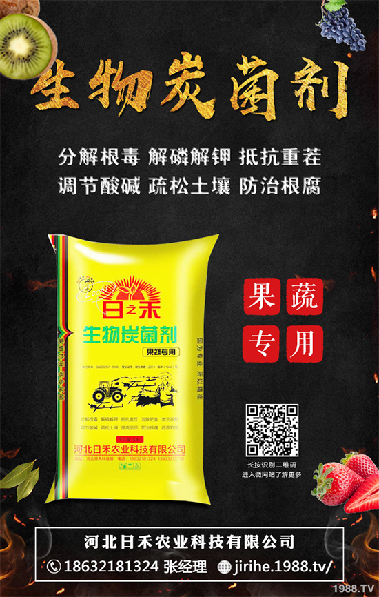 ���[��ֲ�������ˆ������[��ֲ����ֲ���������