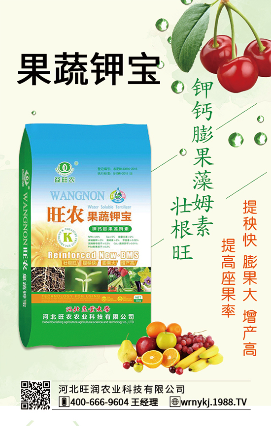 �����Pϵ�����A���ӱ����r(n��ng)�c1988.TV�_����ƪ����