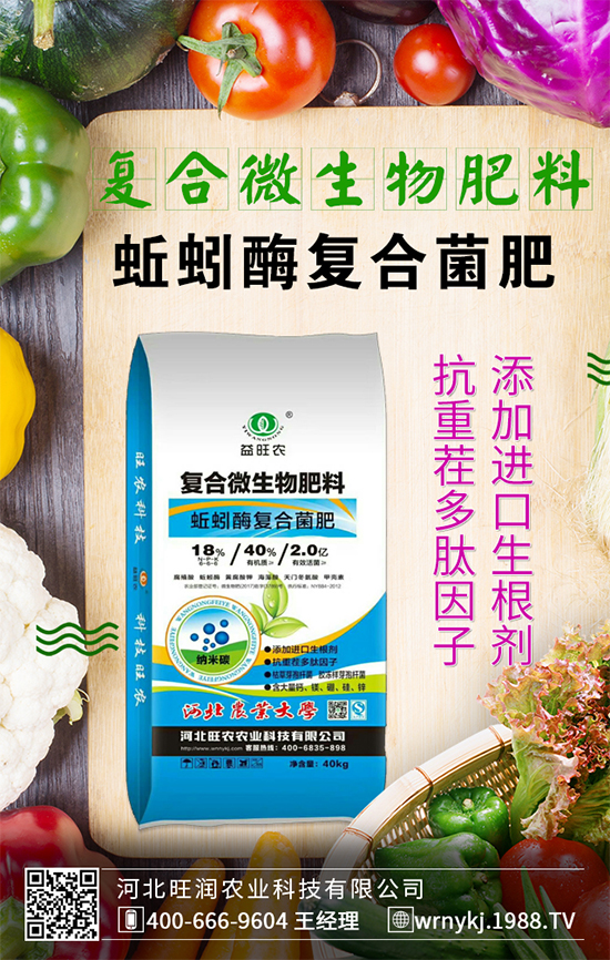 �����Pϵ�����A���ӱ����r(n��ng)�c1988.TV�_����ƪ�£�