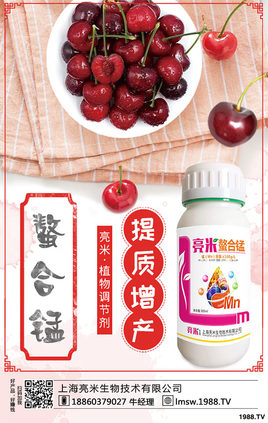 �S�������Щ�I(y��ng)�B(y��ng)�r(ji��)ֵ���S����߮a(ch��n)���༼�g(sh��)