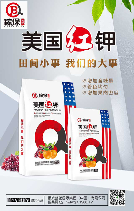 ���㻨�B(y��ng)ֳ��������Щ�����㻨�B(y��ng)ֳע�������