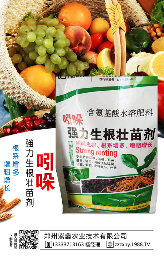 ��֥��Nֲ�r�g��ʲô�r��᣿��֥��Nֲ�������g(sh��)��