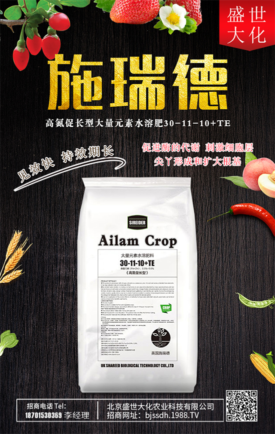 ʯ����ʲô�I�B(y��ng)�rֵ��ʯ������Щʳ�ù�Ч��