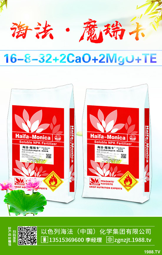     ����������D��2019��11��27�ո��؅^(q��)�����������S��r