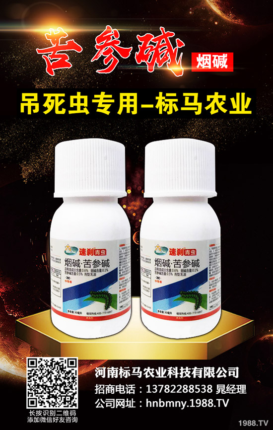 �������x��Σ���Y��l(f��)���l������������Щ���η�����