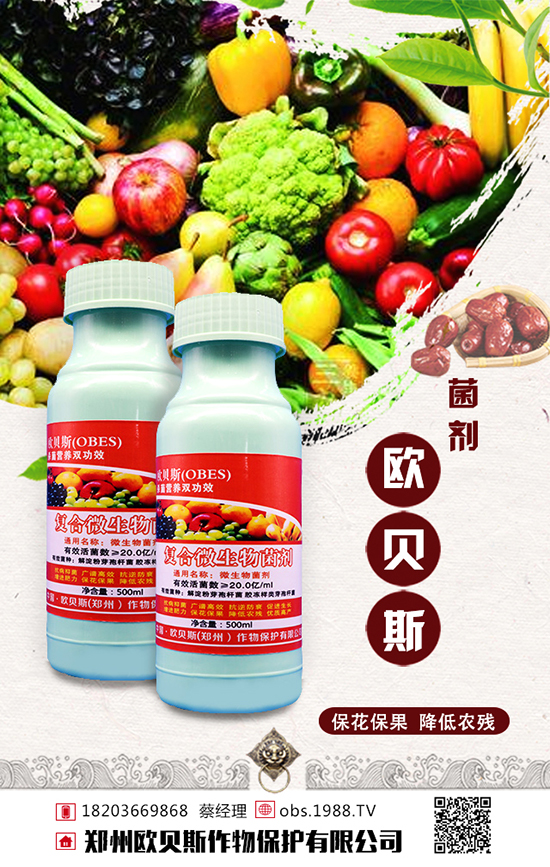 ���ݚWؐ˹���ﱣ�o���޹�˾