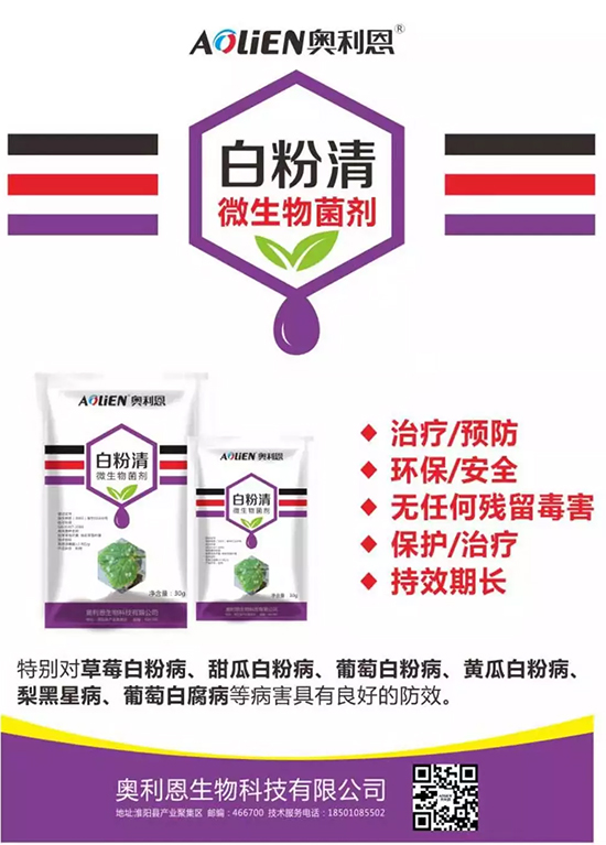 �׷۲�������(f��)�y�p���� ӛס�@��ˎ����Ч���ΰ׷۲����P����