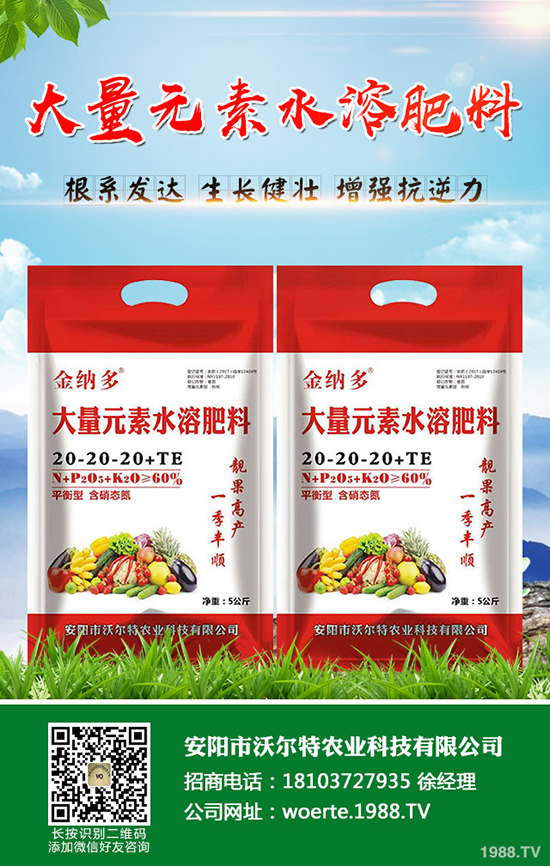 ������ô�N�����۷NֲҪ������Щ��