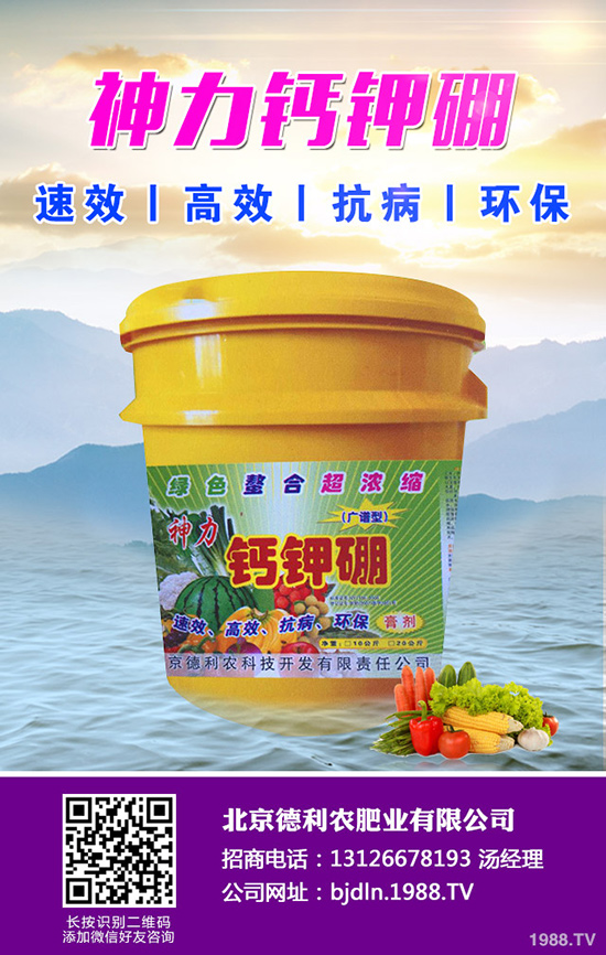 ���¹ϷNֲǰ����������¹ϷNֲҪ�c(di��n)��