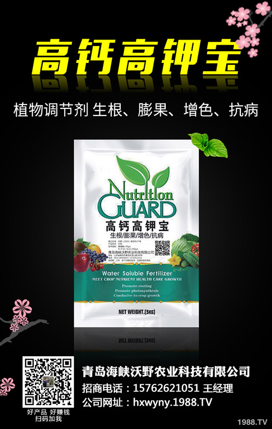 �Ϳ��Nֲǰ��Ҫ�ʂ���Щ�������Ϳ��Nֲ��������Щ��