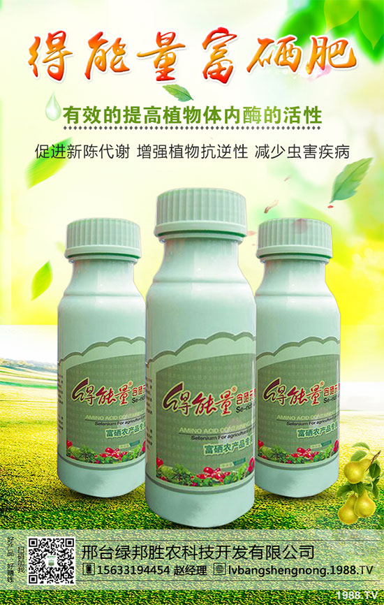 ���_(t��i)�G���ٶȔy��1988.TV���_�ؾW(w��ng)�j(lu��)�����¾�����