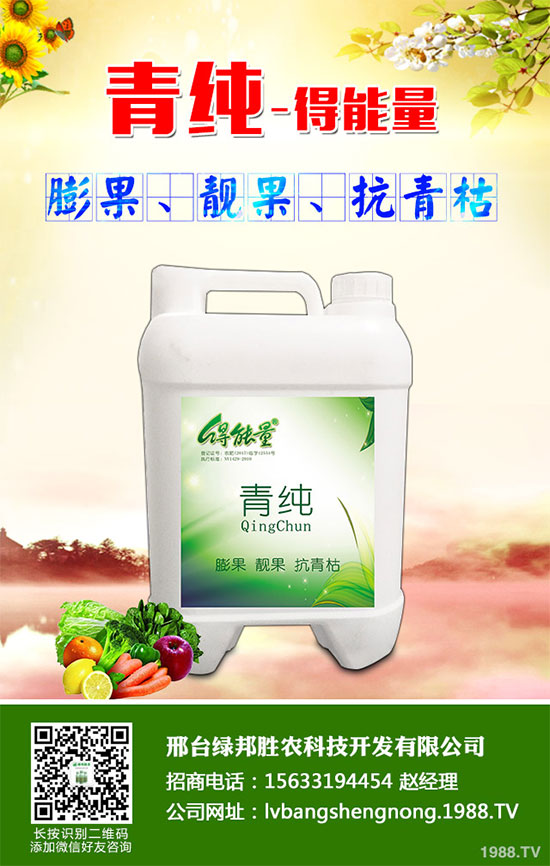 ���_(t��i)�G���ٶȔy��1988.TV���_�ؾW(w��ng)�j(lu��)�����¾��棡