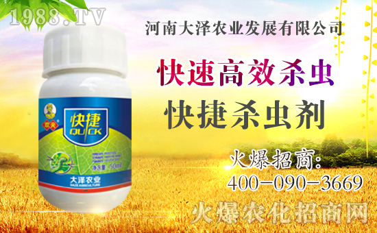 �������\�l(f��)չ�����ϴ���r(n��ng)�I(y��)�ٴκ��s1988.TV