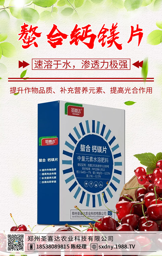 ���E��ʲô�@ô���˚gӭ�����E���Ј��������