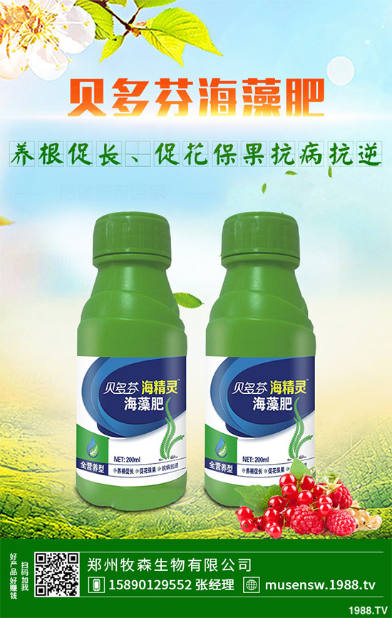 ���E��ʲô�@ô���˚gӭ�����E���Ј��������