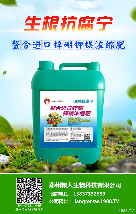 ���E����Щ�I�B(y��ng)�rֵ�����E�ĠI�B(y��ng)�rֵ����Ч����