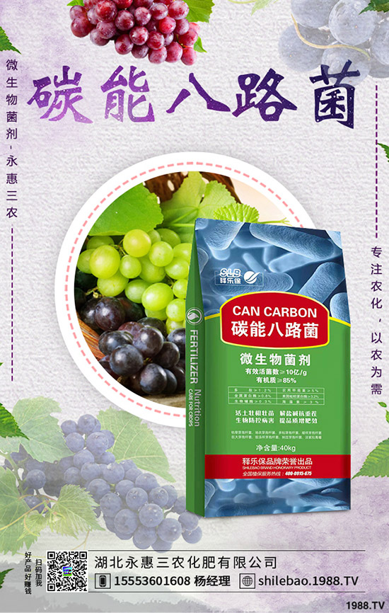 2020�괺��(ji��)���S�r(ji��)���Ƿ��ϝq�����l(f��)�r(ji��)�����Xһ�������S�Nֲǰ����