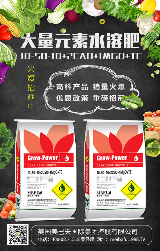 2020��Nֲʲô�߲˒��X����2020��Nֲʲô�߲�ǰ������