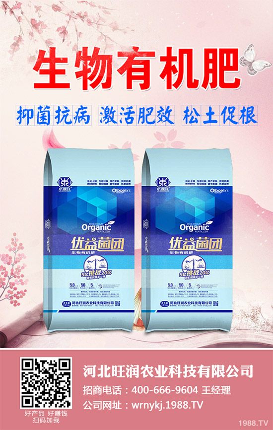 ����²�ԓ��ô�N����������²˷Nֲ���g(sh��)Ҫ�c(di��n)