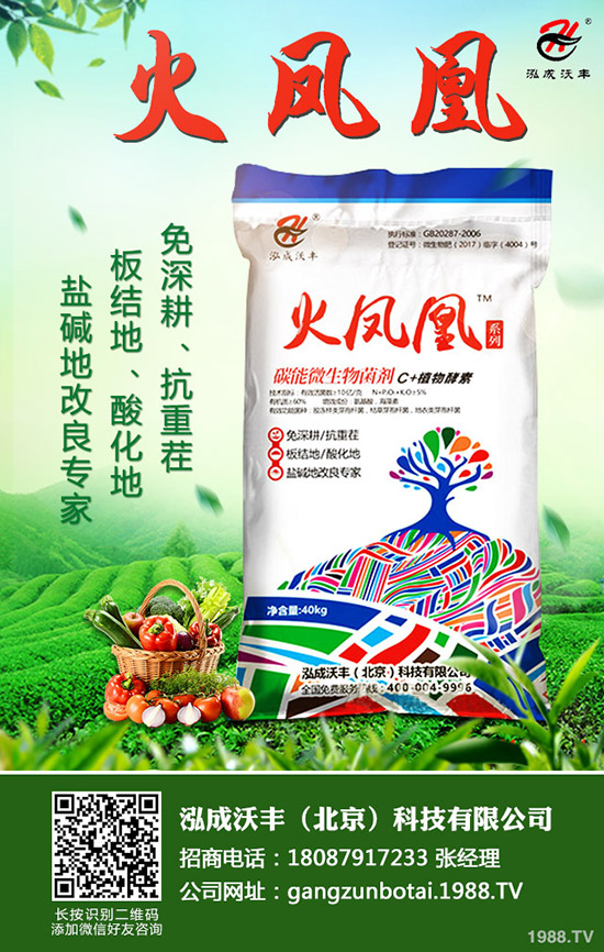     2020��Nֲ����ٍ�Xô��ǰ��������һ������Ͷ�Y��Ч�������