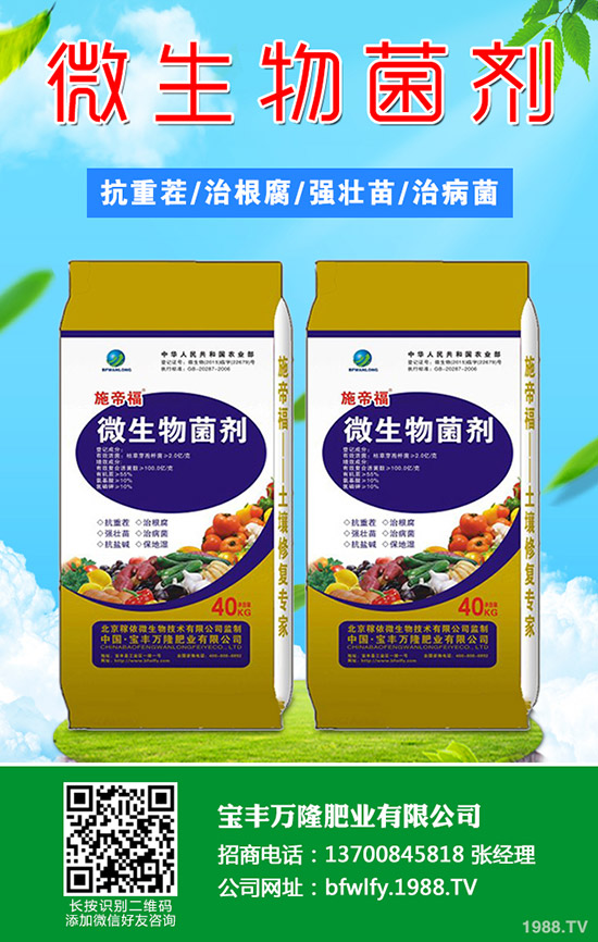 草莓摘葉什么時間好？有哪些方法？