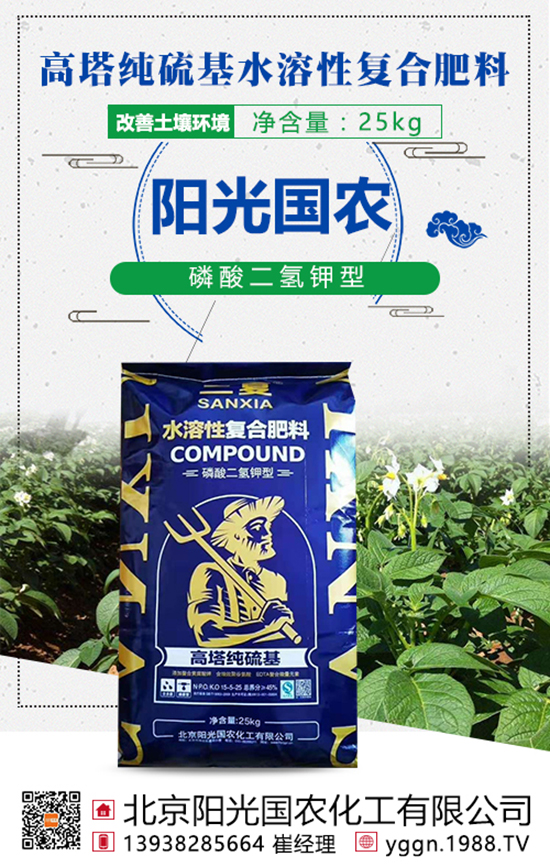 ���w�������@�ӵ���