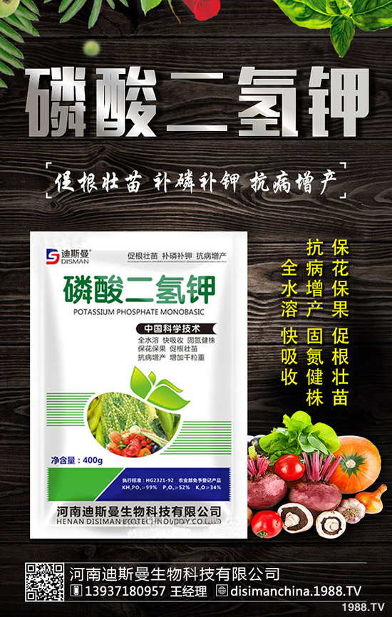 ������ô�Nֲ�������Nֲ�������ճ��������ɣ�