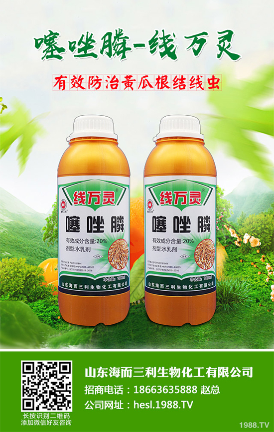 Hexagon�Ƴ����ֽ�Q���� �p�ٸ��_25�����rˎ����