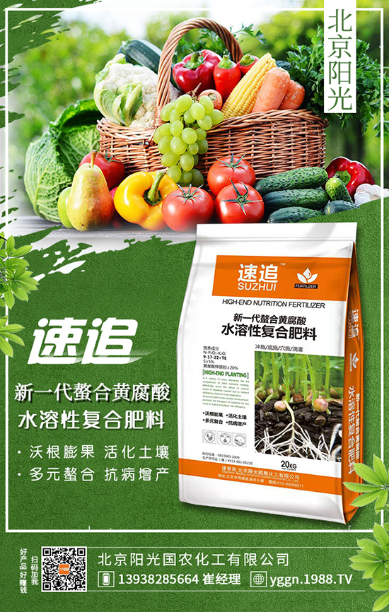 馬鈴薯高產(chǎn)栽培技術(shù)