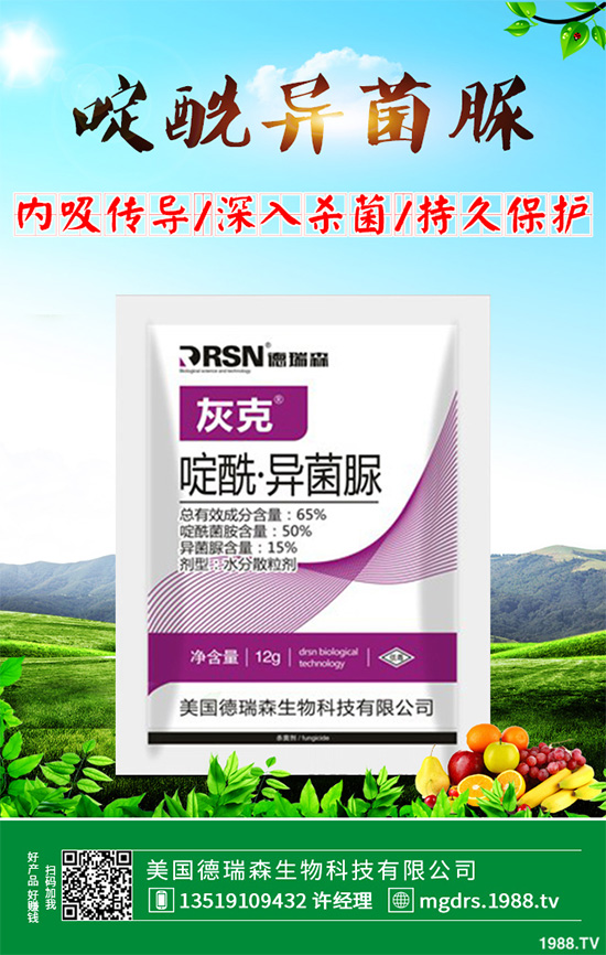 ̩�̹ɷ��׾���ԭˎ�@�ð�����ӛ