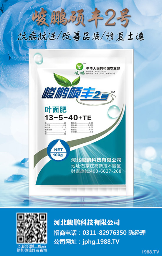 ����ʲô�r��׷�ʣ�����׷��ע��Ҫ�c��