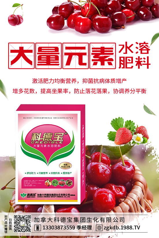 2019-12-21���؃r(ji��)�������(d��ng)�B(t��i)�������Xһ����