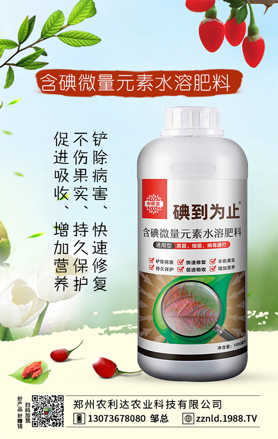 �t�}����ι��������S�գ�����ƌW(xu��)�����҂�֪������