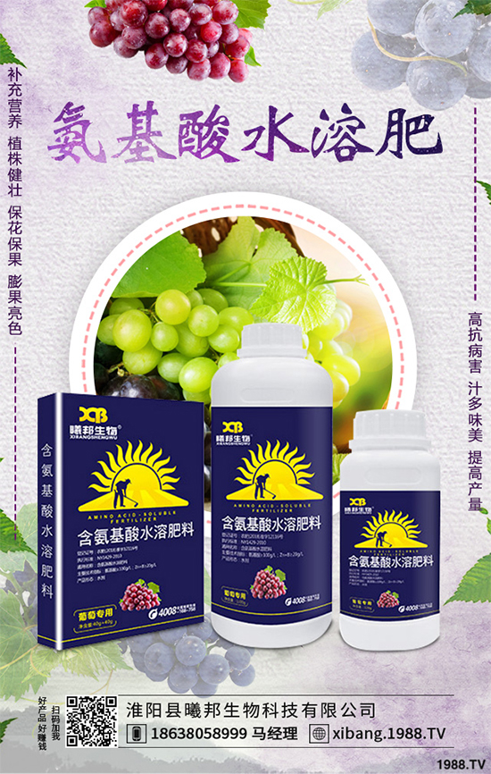 ����Nֲʲô��ٍ�X(qi��n)��2020���ߴ�ٍ�X(qi��n)�Nֲ�(xi��ng)Ŀ�����(l��i)��������